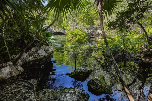 Cenote Azul Natural Wonder Mexico — Stock Photo, Image