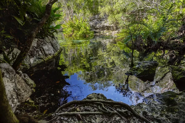 Cenote Azul Natural Wonder Mexico — ストック写真