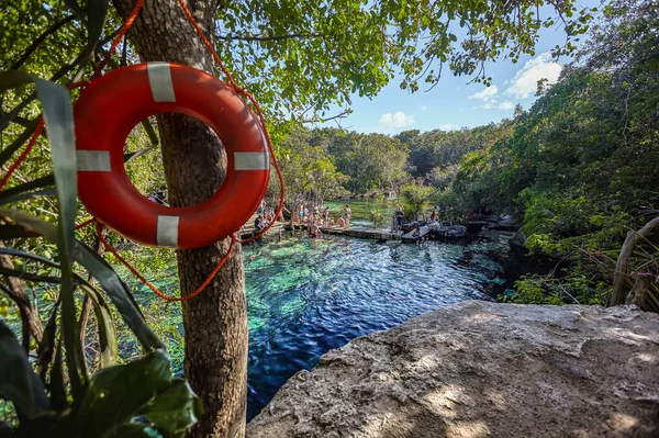 Cenote Azul Natural Wonder Mexico — Stockfoto