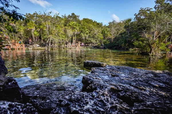 Cenote Azul Natural Wonder Mexico - Stock-foto