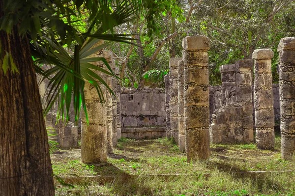 Detalle Filtrado Por Vegetación Las Columnas Del Templo Los Guerreros —  Fotos de Stock