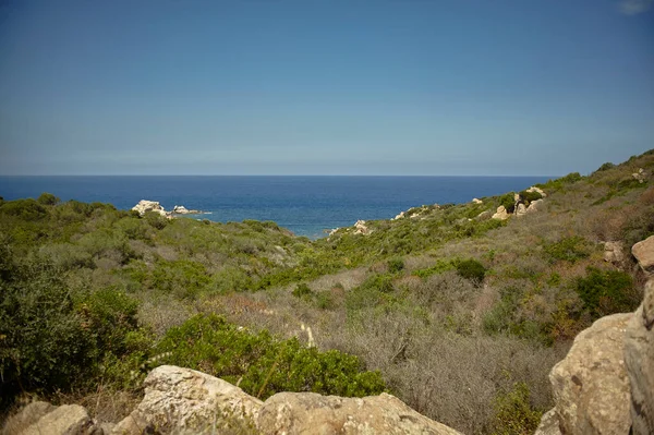 Landscape Rocks Typical Mediterranean Vegetation Background Sea Horizon — Stock Photo, Image