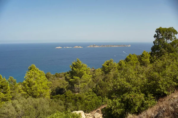 Seascape Southern Coast Sardinia Foreground Typical Vegetation Covers Natural Territory — Stock Photo, Image