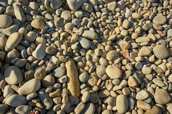 Doku Işık Taşların Farklı Şekil Büyüklükte Sardunya Güney Sahil Talya — Stok fotoğraf