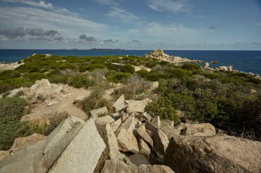 Akdeniz bitki örtüsü Güney Kıyıları tipik Sardunya'nın arka planda denizle kaplı kayalık ve kurak bölge.