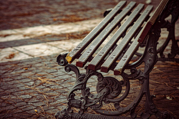Empty of public park with wooden bench detail shot