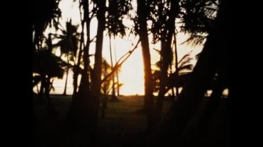 Mombasa, Kenya December 1977: Orange sunset palms scene in 70s