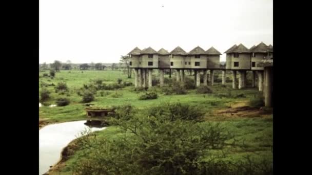 Mombasa Kenya December 1977 Sarova Salt Lick Lodge Taita Hills — Stock video