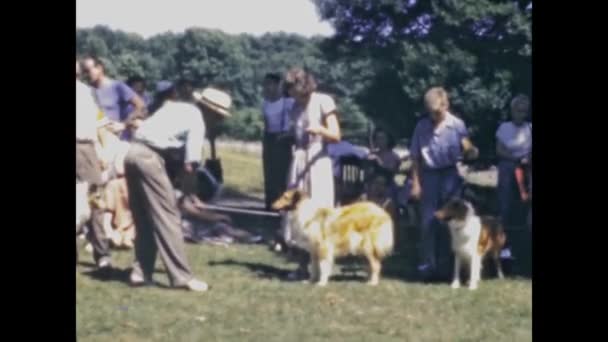 Virginia United States June 1948 Country Dog Show Scene 40S – stockvideo
