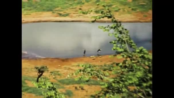 Mombasa Kenya December 1977 Nature Resort Birds Small Water Pond — Vídeos de Stock