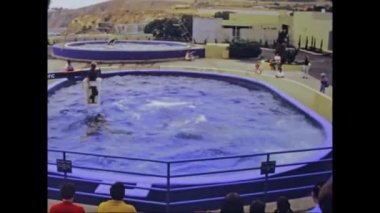 Orlando, ABD Haziran 1975: 70 'lerde Florida Marineland' de yunus gösterisi