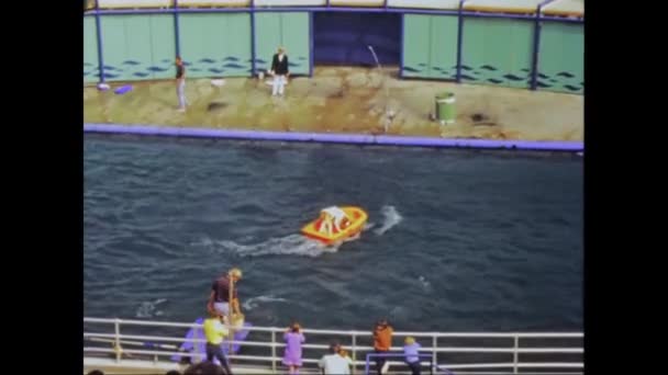 Орландо Сша Июнь 1975 Морские Львы Выполняют Трюки Мячом Шоу — стоковое видео