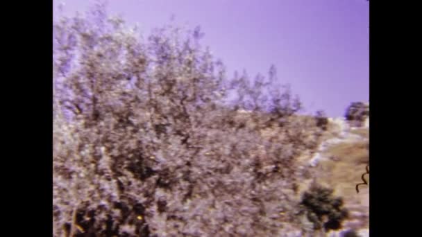 1975年 昭和50年 5月イスラエル エルサレム 寺門東側 慈悲門70年代 — ストック動画