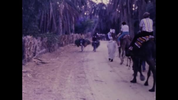突尼斯 突尼斯 1983年4月 80年代恶劣的肮脏道路交通状况 — 图库视频影像