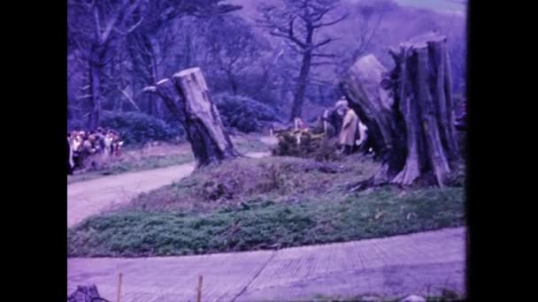 Trengwainton Wielka Brytania Kwietnia 1963 Wyścig Samochodowy Hill Clip Latach — Wideo stockowe