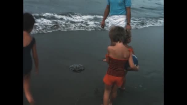 1966 해안선에 해파리 — 비디오