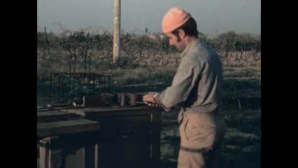 Elba Island Italy 1971 Június Egy Csapat Ember Törött Autóval — Stock videók