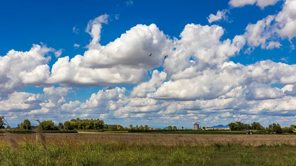 Countryside Landscape Scene Sheep Clouds — Stock Photo, Image