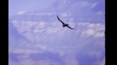 Phoenix, ABD Haziran 1977: Arizona kanyonu ve 70 'lerde dağ manzarası