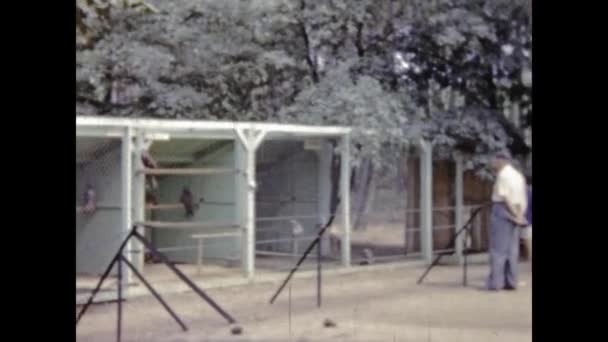 Paris Frankrike Maj 1969 Djur Inlåsta Zoo Scenen Talet — Stockvideo