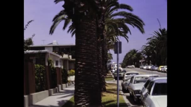 Los Angeles États Unis Juin 1977 Palmiers Los Angeles Vue — Video