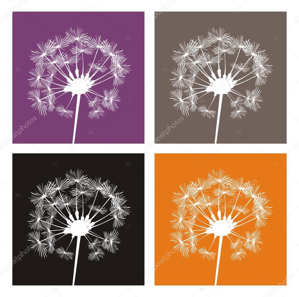 Vector white dandelion silhouette on different, colorful backgrounds. Indian summer or autumn icons, buttons, logo, stickers or other design elements.