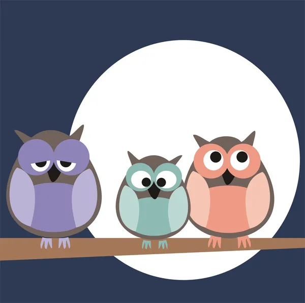 Funny, staring owls sitting on branch on a full mon night - vector illustration isolated on white background. Cute, cartoon symbol of wisdom. — Stock Vector