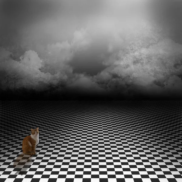 Ginger cat sitting in creepy meadow with black and white checker floor on the ground and ray of light in cloudy, dark sky. Gothic, dramatic background for poster or wonderland image — Stock Photo, Image