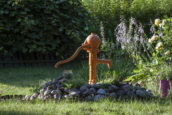 Orange pump among plants — Stock Photo, Image