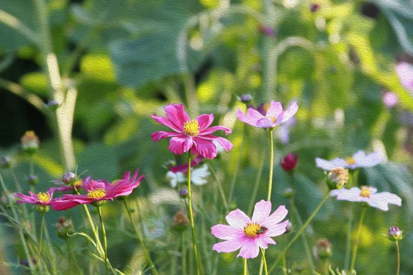 Łąka pełna kwiatów - malarstwo — Zdjęcie stockowe