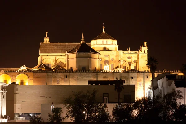 Mezquita de Córdoba de noche — Fotografia de Stock