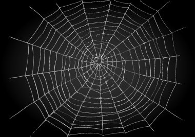 SpiderWeb