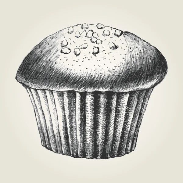 Muffins — Stock vektor