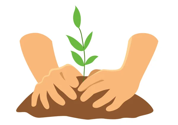 Ilustración Simple Vector Plano Manos Plantando Árbol Reforestación Salvar Tierra — Vector de stock