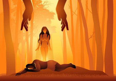 İncil 'deki illüstrasyon dizisi, Yaradılış' ın ikinci bölümü, Havva, Adem 'in kaburgasından onu alarak Tanrı tarafından yaratıldı.