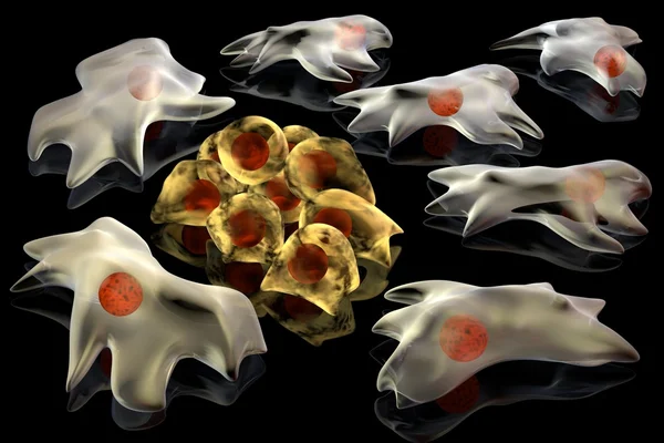 Cancer cells — Stock Photo, Image