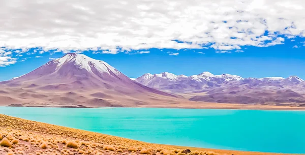 Vue Sur Laguna Miscanti Miniques Désert Atacama Chili — Photo