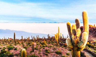 View on sunrise over island incahuasi by salt lake Uyuni in Bolivia. High quality photo