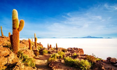 View on sunrise over island incahuasi by salt lake Uyuni in Bolivia. High quality photo