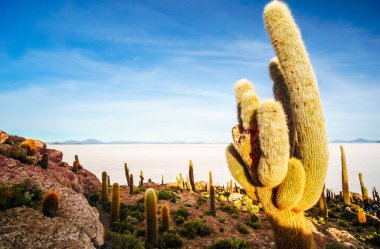 Sunrise Adası Incahuasi Tuz Gölü Uyuni Bolivya tarafından üzerinde göster