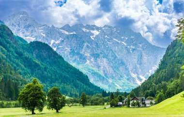 Logar Vadisi ya da Slovenya 'nın Alplerindeki Logarska Dolina. Yüksek kalite fotoğraf
