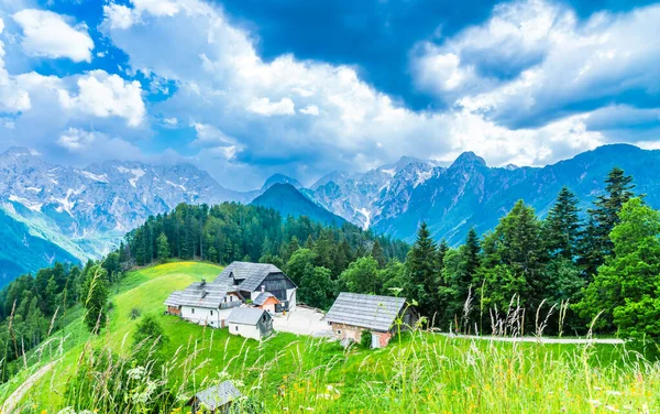 Гірський Пейзаж Альпи Словенії Фермою Поруч Логарською Доліною Фотографія Високої — стокове фото