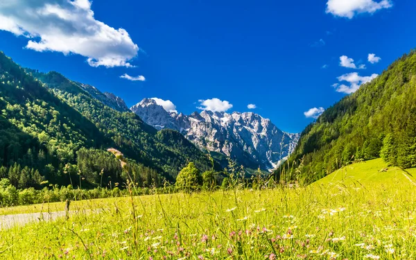 Logar Völgy Vagy Logarska Dolina Alpokban Szlovénia Kiváló Minőségű Fénykép — Stock Fotó