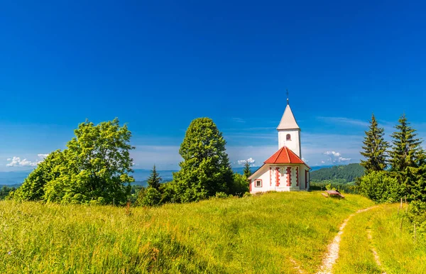 緑豊かな緑の夏の風景と青空の間でスロベニアの田舎の小さな白い教会 高品質の写真 — ストック写真