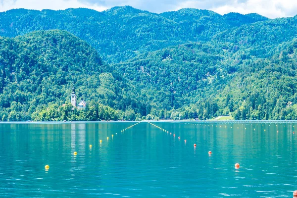 Natación Lanes Lake Bled Eslovenia Foto Alta Calidad — Foto de Stock