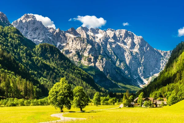 Logartal Oder Logarska Dolina Den Slowenischen Alpen Hochwertiges Foto — Stockfoto