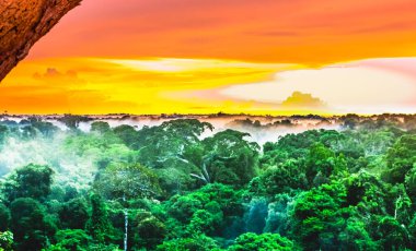 Sunset over the trees in the brazilian rainforest of Amazonas. High quality photo clipart