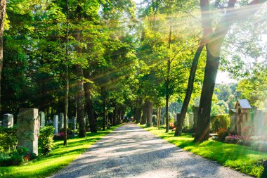 Münih, Almanya - Ostfriedhof mezarlığı manzaralı. Yüksek kalite fotoğraf