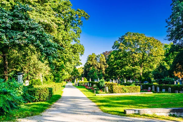 Mnichov Německo Pohled Hřbitov Ostfriedhof Kvalitní Fotografie — Stock fotografie