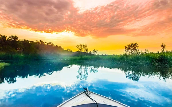 Vue Sur Bateau Sur Amazon Brésil Photo Haute Qualité Photos De Stock Libres De Droits